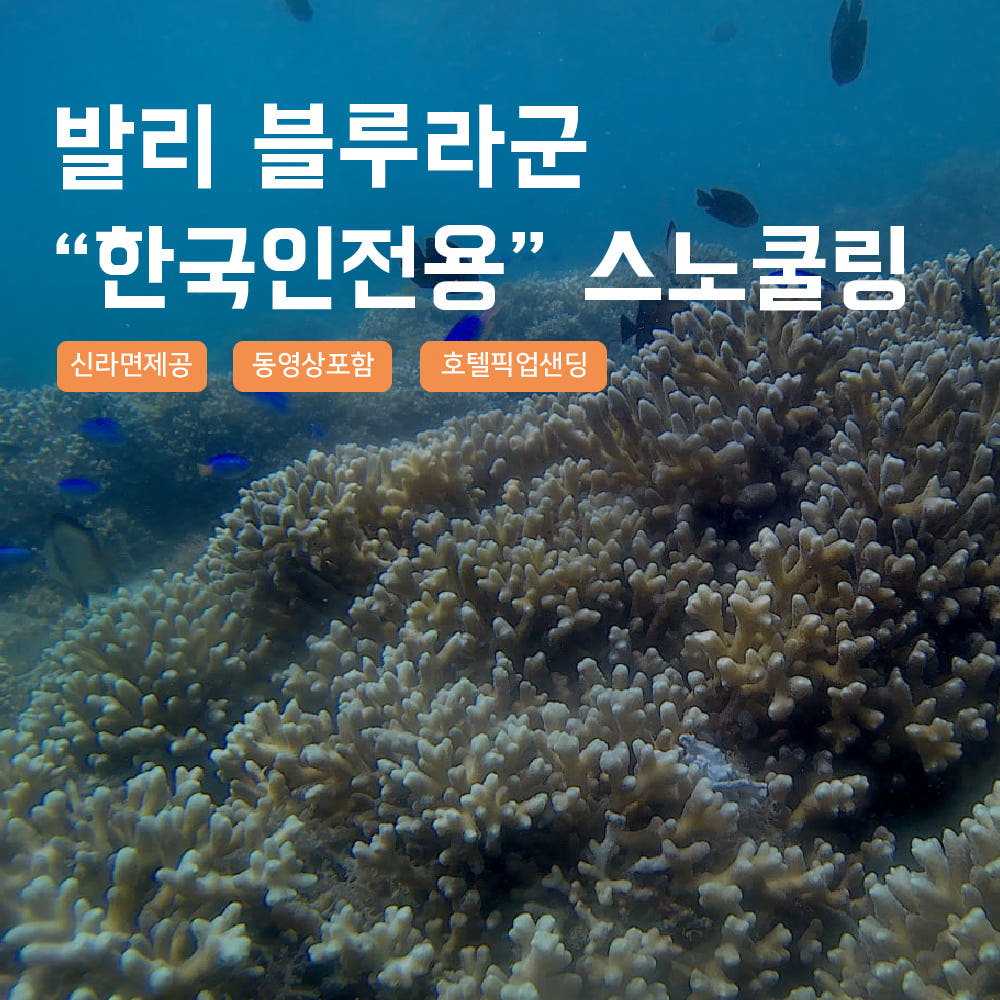 발리 블루라군 스노클링